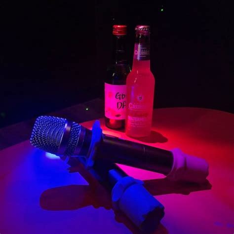 Booths Karaoke Intimate Karaoke Bar 11 Private Booths