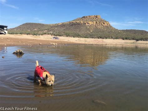 Bartlett Lake - Leash Your Fitness