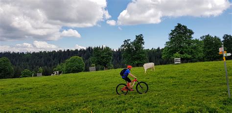 Bikingspots Sortie Enduro Du Samedi Juin Organis E Sur Le