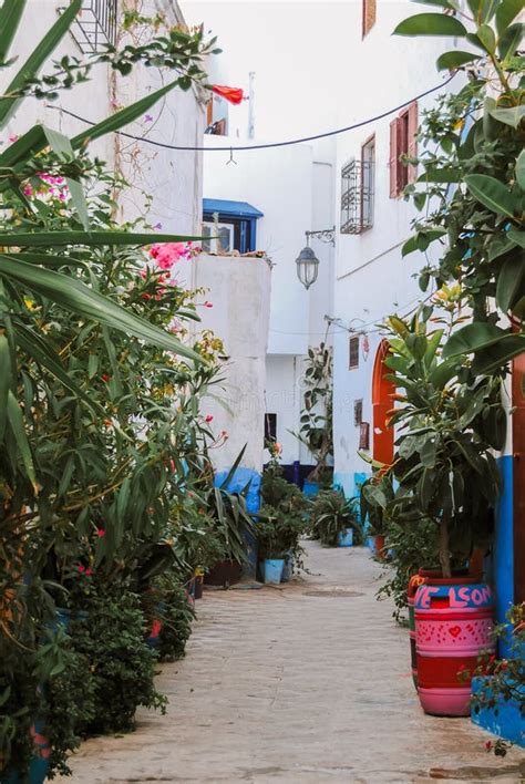 Maisons Blanches Berbère Dans L asilah Maroc Image stock Image du