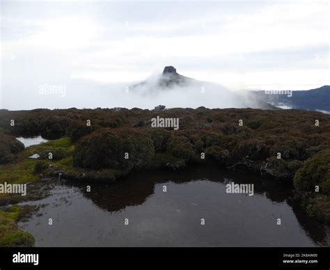 The Overland Track Australian Bushwalking Track Cradle Mountain Lake