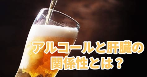 アルコールと肝臓の関係性とは？｜市ヶ谷の運動健康栄養情報ナビゲーター｜note