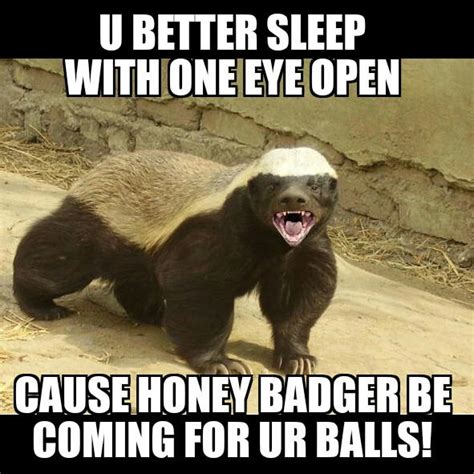 Badass Honey Badger MEME by Borgster93 on DeviantArt