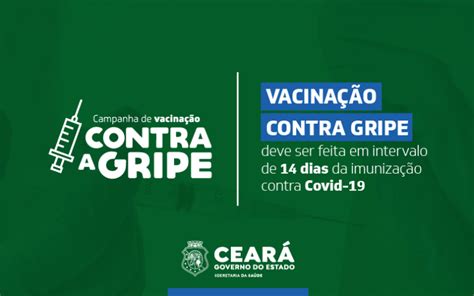 Vacina O Contra A Gripe Ampliada Para Toda A Popula O A Partir