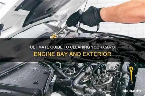 how to clean under clit hood