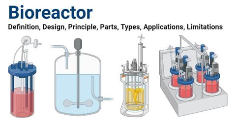 Bioreactor Definition Design Principle Parts Types Applications