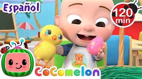 Celebra Pascuas Con Cocomelon Canciones Infantiles Caricaturas Para