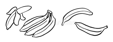 Black White Bananas Icon Stock Illustrations 398 Black White Bananas