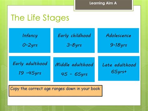 Life Stages Learning Aim A Outcomes Identify The Life Stages Ppt