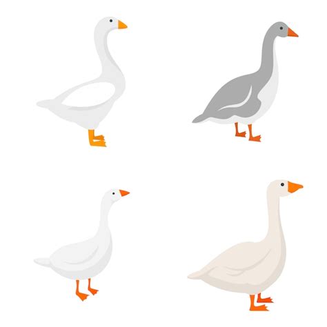 Premium Vector Goose Icons Set