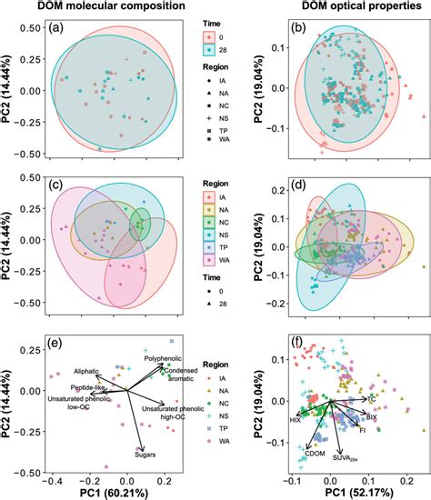 Principal Component Analysis Of The Molecular Composition And Optical