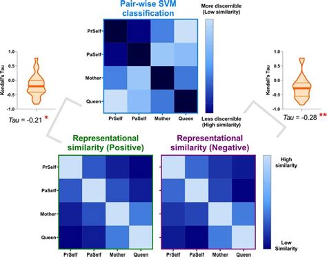 The Results Of Representational Similarity And Machine Learning