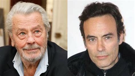 Papa Tu Es S Rieux Anthony Delon Met Les Choses Au Clair Avec Son