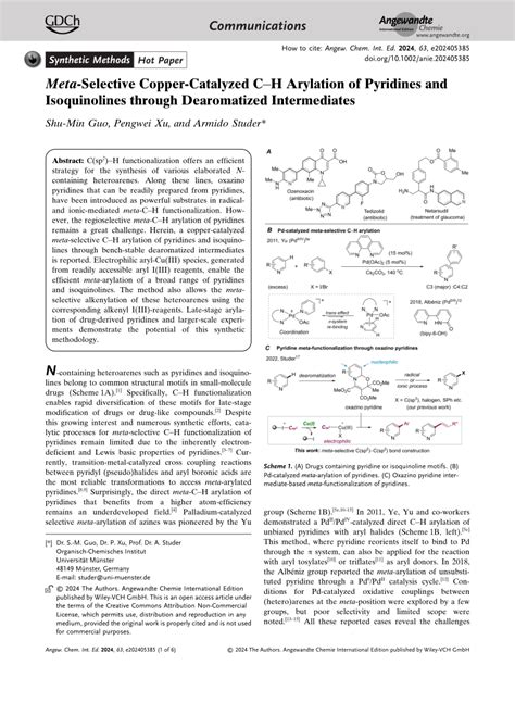 PDF MetaSelective CopperCatalyzed CH Arylation Of Pyridines And