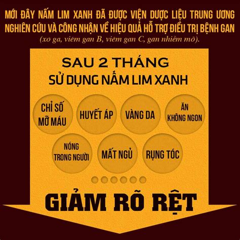 Nấm Lim Xanh Quảng Nam Hộp Quà Biếu 05kgh Hộp Công Ty Nhân