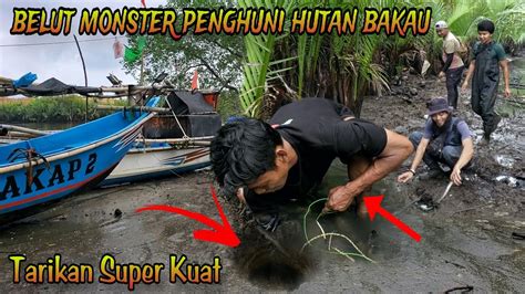 Mancing Belut Laut Langsung Bersama Pawangnya Auto Dapat Banyak