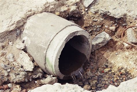 10 Symptoms Of A Damaged Sewer Pipe Flood Brothers Plumbing