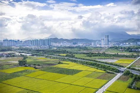 献礼深圳经济特区40年 深汕特别合作区发起乡村振兴百日攻坚冲刺 深汕网