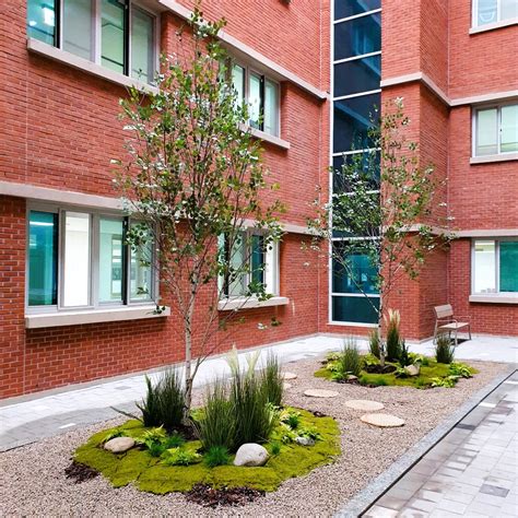 Prymary School Indieforest