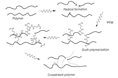 Schematic Representation Of Irradiated Polymer Crosslinking Mechanism