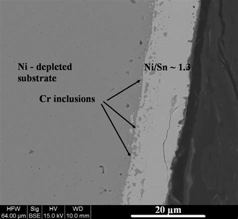 Cross Section Of The Coating After The Initial Interdiffusion Heat