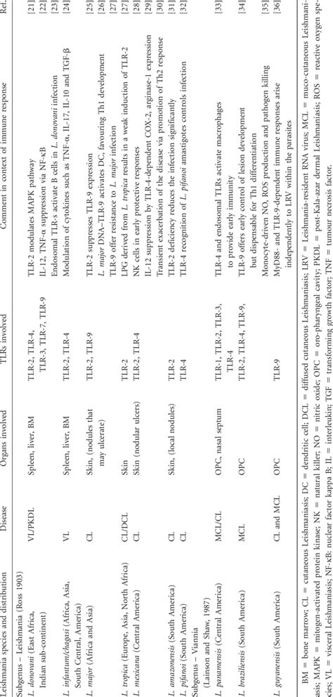 Leishmania and Toll-like receptor (TLR) immune response paradigm in... | Download Scientific Diagram