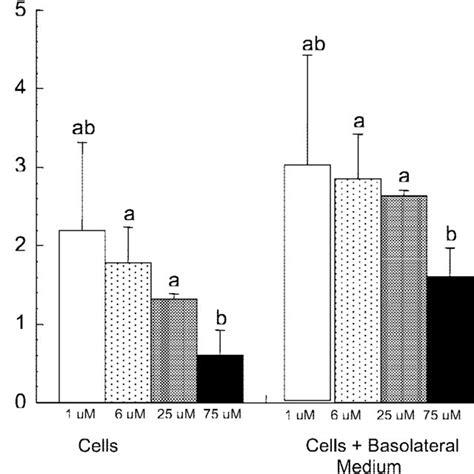 Heme iron absorption by Caco-2 cells after 48 h as a function of heme ...