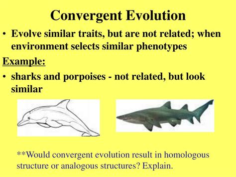 Ppt Terminology Powerpoint Presentation Free Download Id3495871