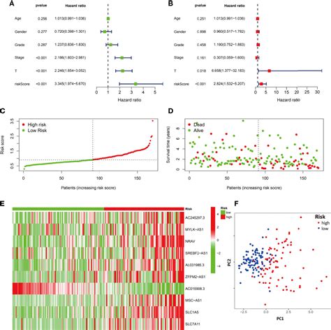 Frontiers Identification Of A Ferroptosis Related Signature Model Including Mrnas And Lncrnas