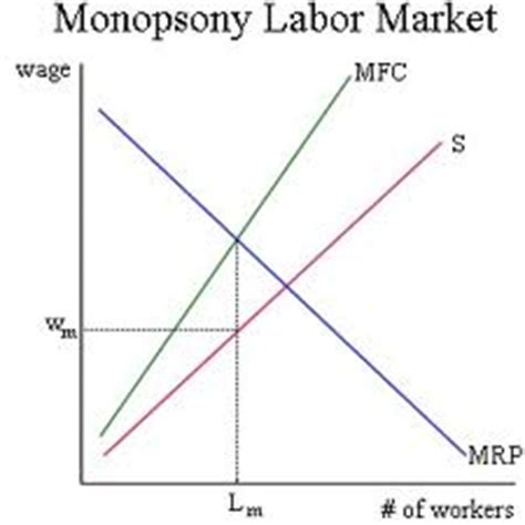 Discuss on Equilibrium in a Monopsony Market - Assignment Point