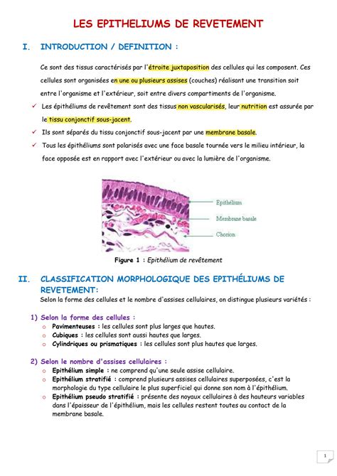 SOLUTION 1 Les Epitheliums De Revetement Studypool