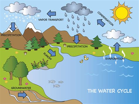 Our Precipitation And Water Cycle How They Work And How Climate Change