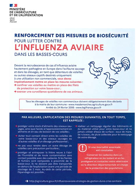 Grippe Aviaire Renforcement Des Mesures De Bios Curit