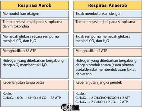 Tabel Tahapan Respirasi Aerob Wulan Tugas