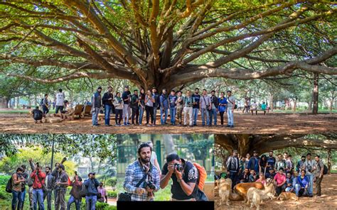 Photowalk at Cubbon Park Bangalore at Cubbon Park in Bangalore - HighApe