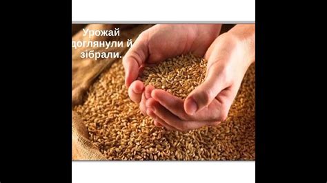 Хліб – символ того, чого не було під час Голодомору. Бесіда "Хліб ...