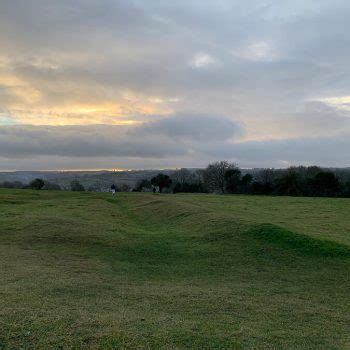 Minchinhampton Common - Bristol dog walk - Bristol Barkers