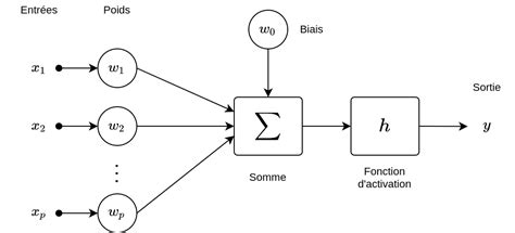 Réseaux de neurones tout comprendre Blent ai