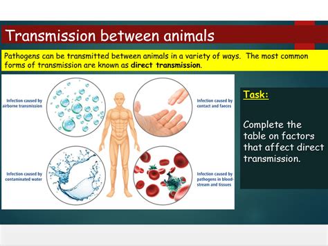 Ocr A Level Biology H020 Module 4 Communicable Diseases