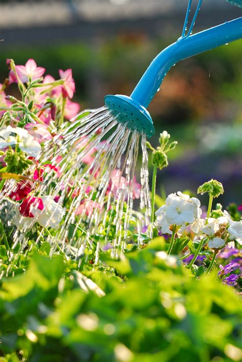 Water Wise Gardening - London Middlesex Master Gardeners