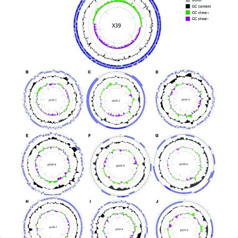 Circular Maps Of The Chromosome A And Nine Plasmids B J Of K Download Scientific Diagram