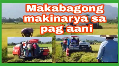 Makabagong Makinarya Sa Pag Aani Ng Palay Ang Galing In Isasako Na