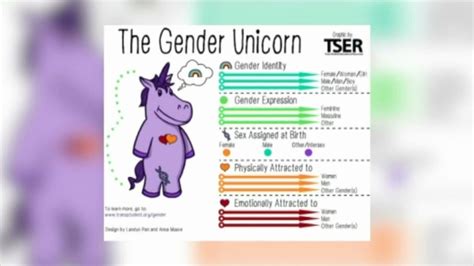 California school district stops teacher from handing out 'gender unicorn' sheet - 6abc Philadelphia