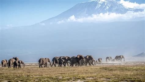 Mount Kenya National Park Kenya Safaris Tours Kenya Tours