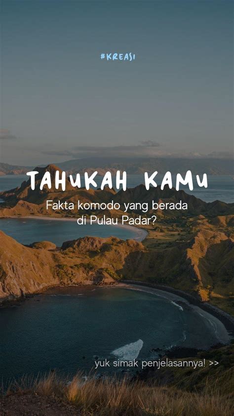 TAHUKAH KAMU FAKTA KOMODO YANG BERADA DI PULAU PADAR Klifonara