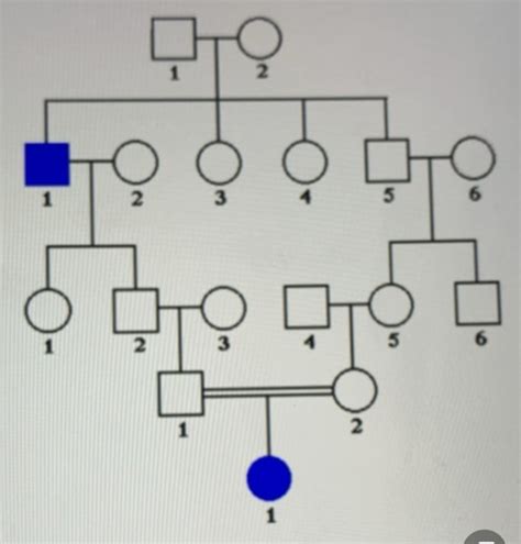 Chapter Flashcards Quizlet