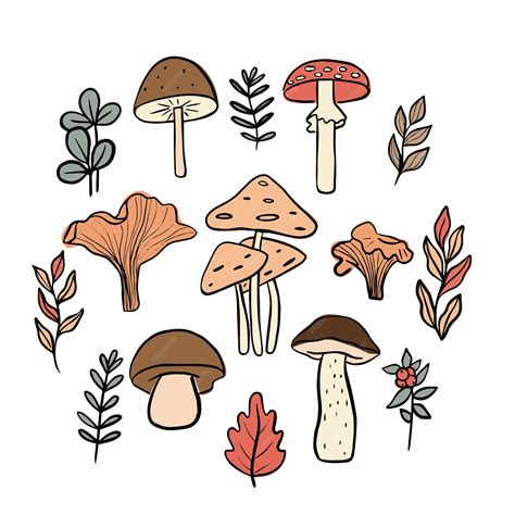 Premium Vector Set Of Mushrooms And Plants Doodle Hand Drawn