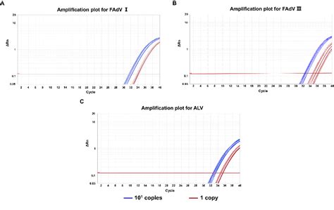 Figure From Establishment Of A Taqman Based Real Time Quantitative