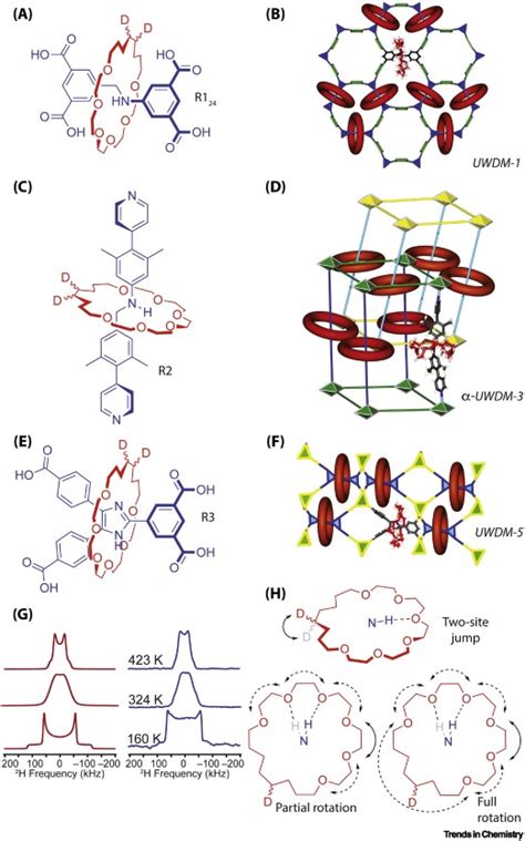 Rotors Motors And Machines Inside Metalorganic Frameworks Trends In