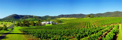 Top 5 Wineries to Visit in the Hunter Valley this Winter - Hunter ...